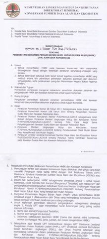 Permit from the Ministry of Forestry certificate from PT Lucky Light Trade