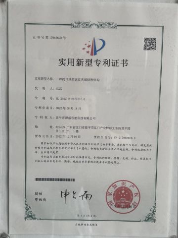 A switching structure for positive/negative paper clamping at valve opening certificate from Enping Desheng Intelligent Technology Co., Ltd