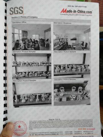 SGS Certificate certificate from Foshan Holyhome Decoration Material Co., Ltd.