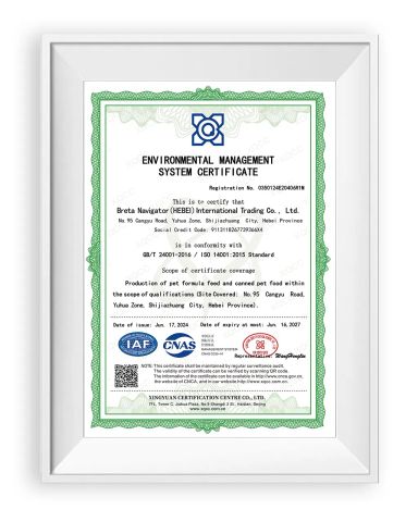 ISO 14001 certificate from Breta Navigator (Hebei) International Trading Co., Ltd