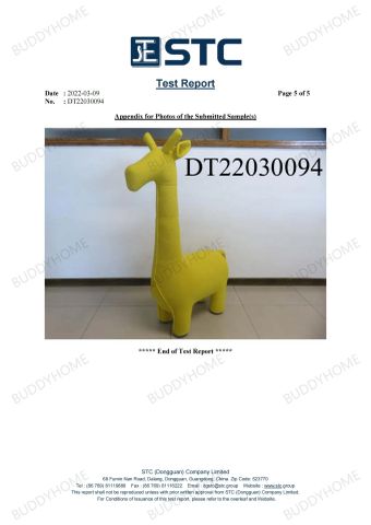 STC certificate from FOSHAN BUDDYHOME HOUSEWARE CO., LTD.