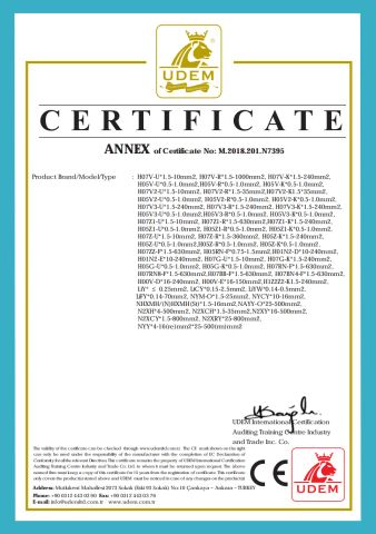 CE CERT SINGLE CORE certificate from Shanghai Kuka Special Cable Co., Ltd.