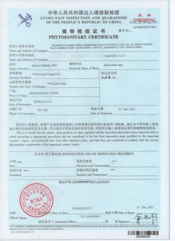 Phy certificate from ZHANGZHOU XIANGCHENG GREENHOME HORTICULTURE CO., LTD