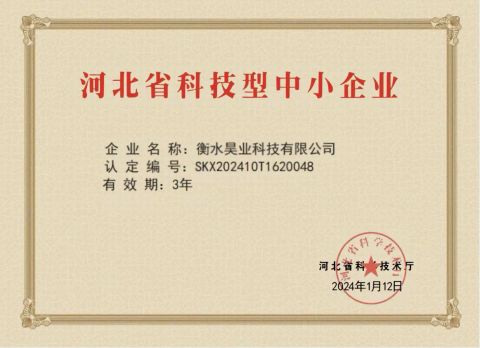 Technological Enterprises certificate from Hengshui Haoye Co., Ltd.