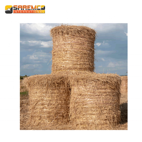 Export of Rice Straw on Wholesale Prices For Middle East Countries ...