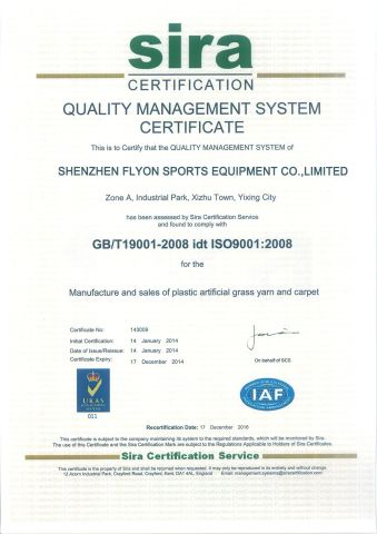 ISO 9001 certificate from Shenzhen Flyon Sports Co., Ltd.