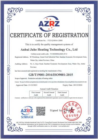 ISO certificate from TS HEAT CHINA Co., Ltd.