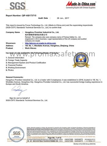 SGS Audit Report certificate from Promax Safety Co., Ltd.