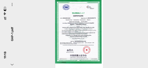 CQC certificate from Taian guiyou Taishan chestnut co.,Ltd 