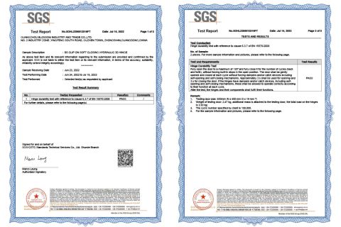 Hinge SGS 1 certificate from Guangdong Blossom Hardware Co., Ltd