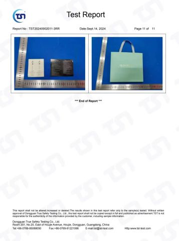 RoHs Test Report 11 certificate from Hangzhou Fengqing Printing Co., Ltd.