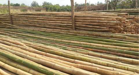 AGRO MAKI PLUS DOOEL ST NARODEN FRONT N - Freshdi