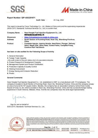 SGS certificate from Heze Hengtai Fuel Injection Equipment Co., Ltd.