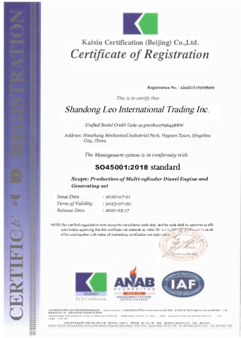Honor certificate of Shandong Leo International Trading Inc. – certificate photo, supplier certificates section