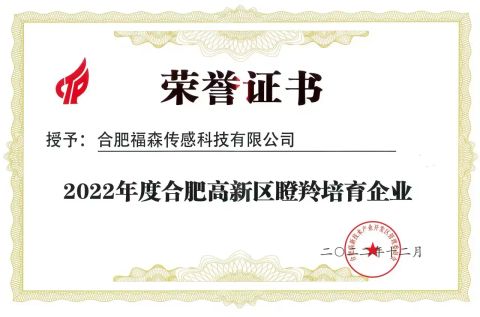 Gazelle Enterprise of Hefei Hi-Tech Zone certificate of Focus Sensing and Control Technology Co., Ltd. – certificate photo, supplier certificates section