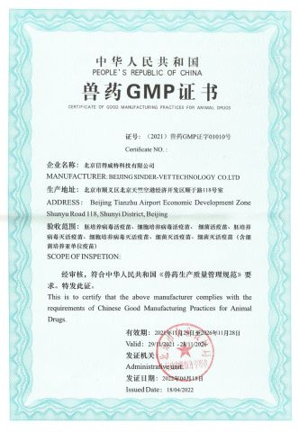 GMP-2 certificate of Shandong Sinder Technology Co., Ltd – certificate photo, supplier certificates section