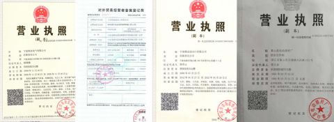 Company Certificate certificate from Ningbo Ville Electric Co., Ltd.