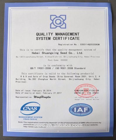 ISO9001 certificate from Hebei Shuangxing Seeds Co., Ltd.