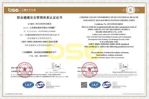 ISO 45001 certificate of Shandong Chuanghe Supply Chain Management Co., Ltd. – certificate photo, supplier certificates section