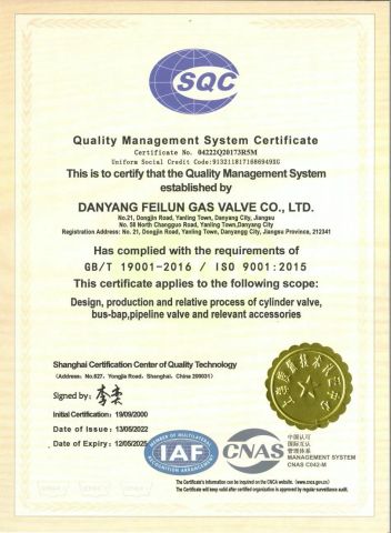 ISO9001 Certificate certificate from Danyang Feilun Gas Valve Co., Ltd.