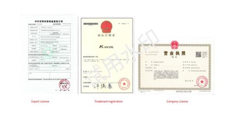 License certificate of Chongqing Kalida Industry Co., Ltd. – certificate photo, supplier certificates section