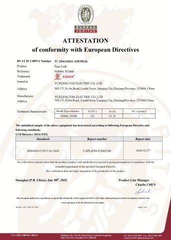 CE for NT000 and NH000 fuse link certificated by BV certificate from Yueqing Yisi Electric Co., Ltd.