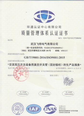 ISO Certificate certificate from Wuhan Feite Electric Co., Ltd.