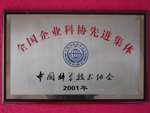 Certificate certificate from HUBEI TRI-RING MOTOR CO., LTD.