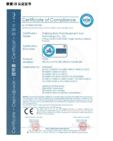 ECM certificate from Borra Technology Co., Ltd.