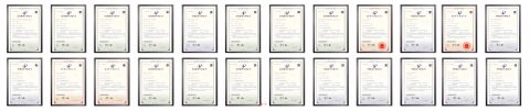 certificate certificate of Shanghai Green Leopard Da industrial Co., Ltd – certificate photo, supplier certificates section
