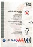 SGS certificate from Weifang Shengao Machinery Co., Ltd.