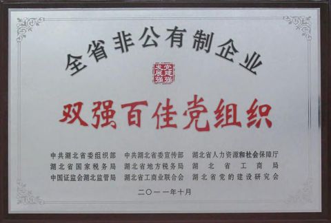 Double Strong and Top 100 Party Organizations certificate of Hubei Luke Special Automobile Co., Ltd. – certificate photo, supplier certificates section