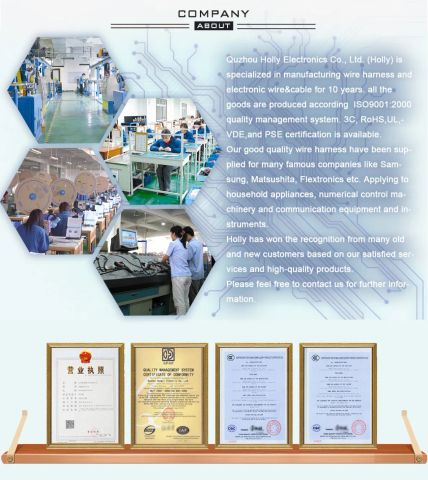 Company Profile certificate of Quzhou Holly Electronic Co., Ltd. – certificate photo, supplier certificates section