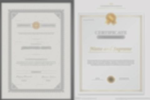 lolasana certificate from Shenzhen Energy Pig Supply Chain Management Co., Ltd.
