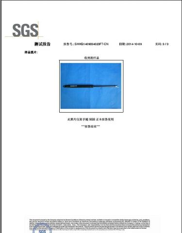 SGS ROHS certificate from Changzhou Longxiang Gas Spring Co., Ltd.