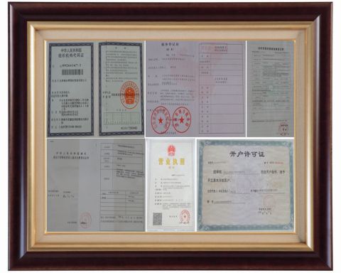 Company certificate of Jinan Dongye International Trading Co., Ltd – certificate photo, supplier certificates section