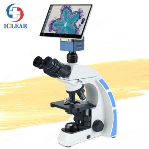HD Digital Biological Microscope with Screen from China - Freshdi