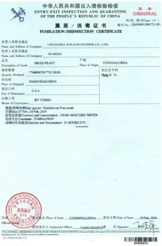 Fumigation Certificate certificate of Changsha Solavis Flower Co., Ltd. – certificate photo, supplier certificates section