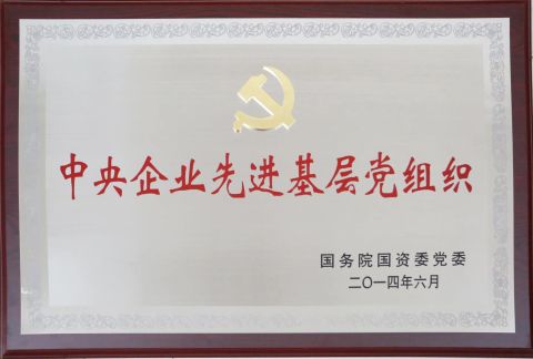 The State Council Award certificate from Shandong Huayuan Laidong Engine Co., Ltd.