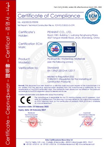 CE certificate from Pennint Co., Ltd.