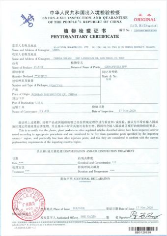 Phytosanitary Certificate certificate from Plant Fun ( Xiamen) Co., Ltd.