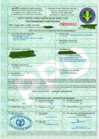PHYTOSANITARY CERTIFICATE certificate from NS VINA IMPORT EXPORT TRADING MANUFACTURING COMPANY LIMITED
