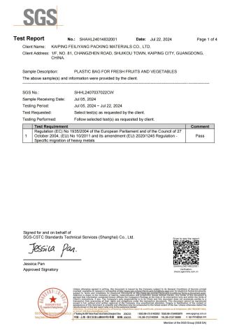 Report for Macro perforated shirt bag certificate from KAIPING FEILIYANG PACKING MATERIALS CO., LTD.