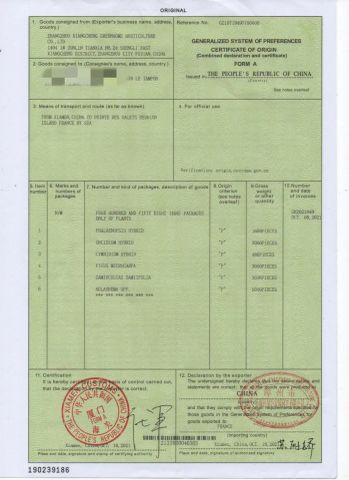 Form A certificate from ZHANGZHOU XIANGCHENG GREENHOME HORTICULTURE CO., LTD