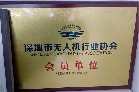 Member of Drone Industry Association certificate from Shenzhen Hubsan Technology Co., Ltd.