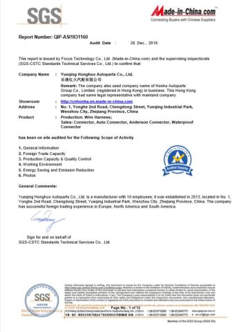 SGS certificate from Honha Autoparts Group Co., Limited
