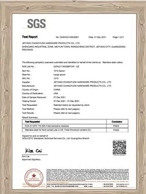 SGS certificate from Changsha Chengtong Technology Co., Ltd.