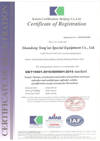 ISO 9001 certificate from SHANGHAI RISEON INDUSTRY CO., LTD.