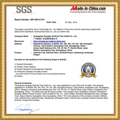 SGS of Certificate certificate from Guangdong Songtao Co., Ltd.