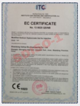 ISO9001 certificate from SHANGHAI REYOUNGEL MEDICAL TECHNOLOGY COMPANY LIMITED